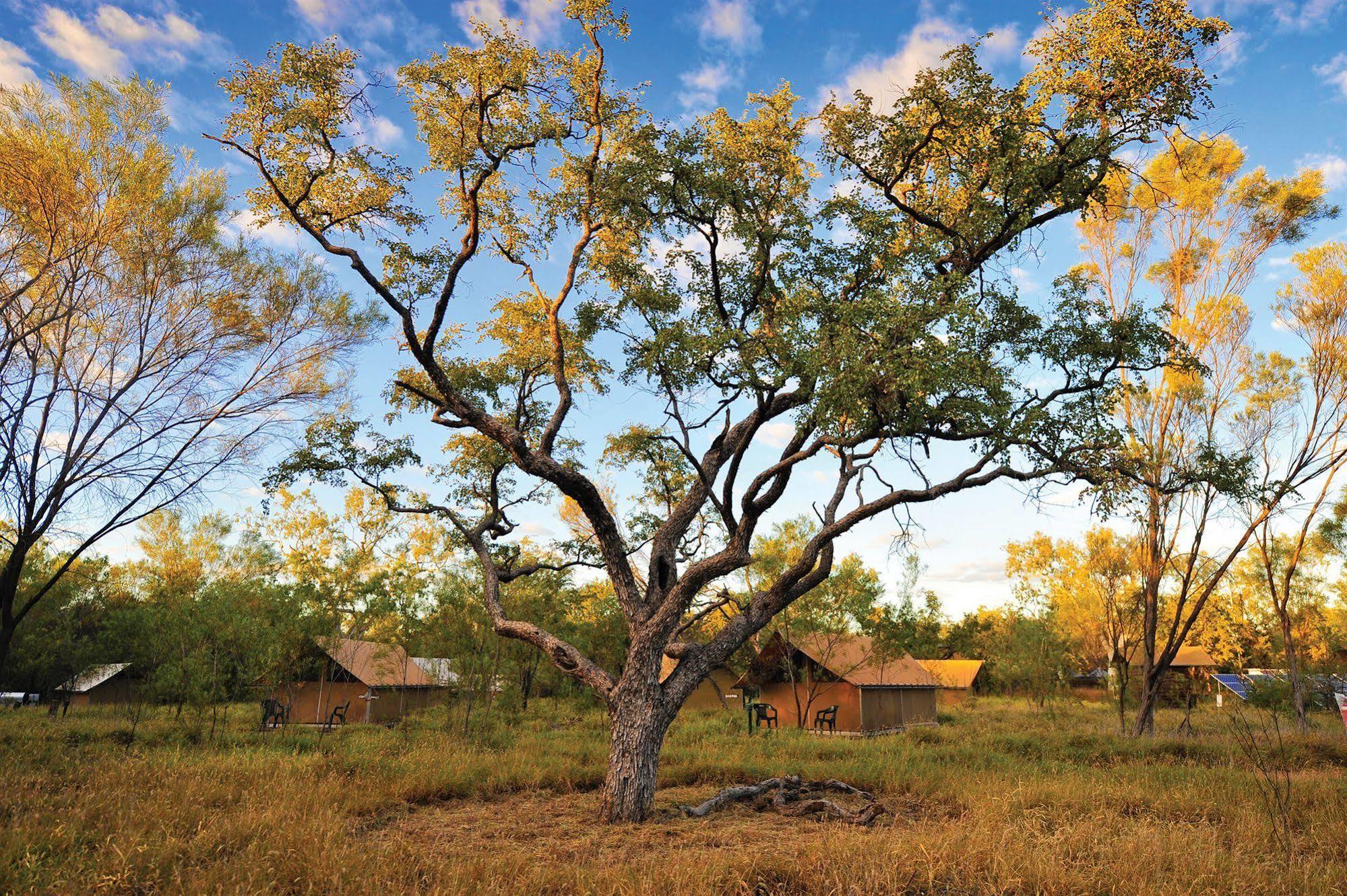 Bungle Bungle Wilderness Lodge Turkey Creek Exteriér fotografie